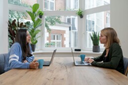 two young women investors sitting at a table in front of a window adorned with plants, discussing market trends on their laptops